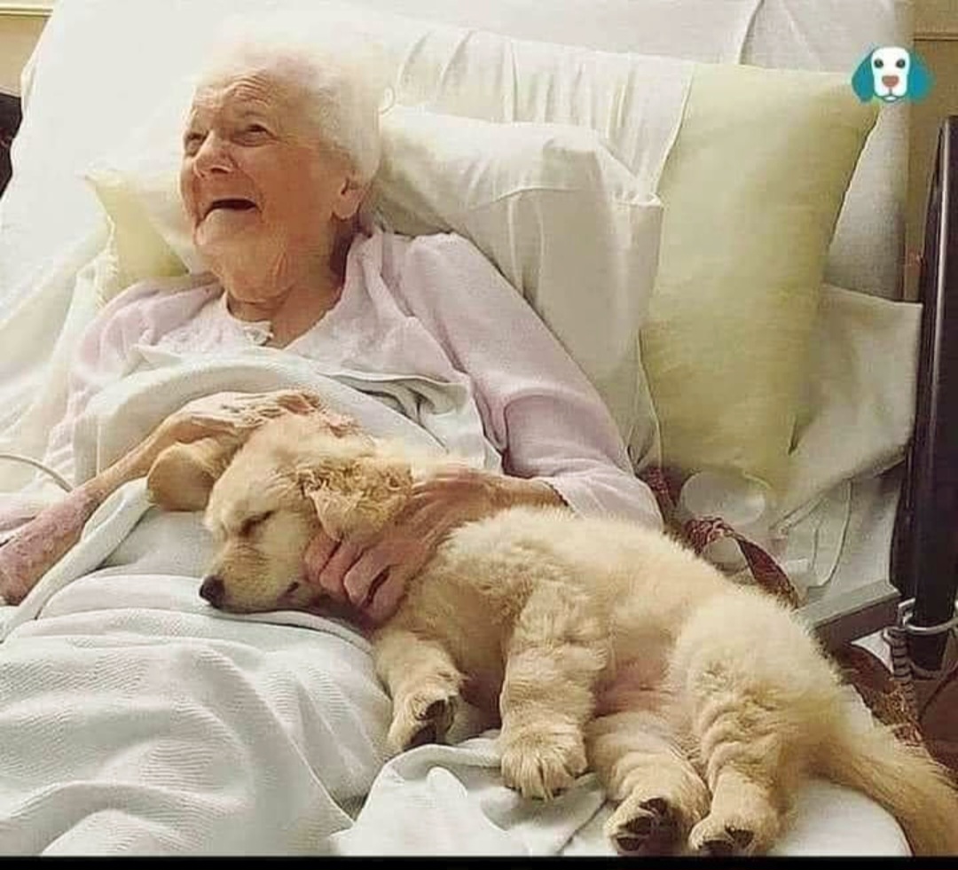 Grace Resdential (10)